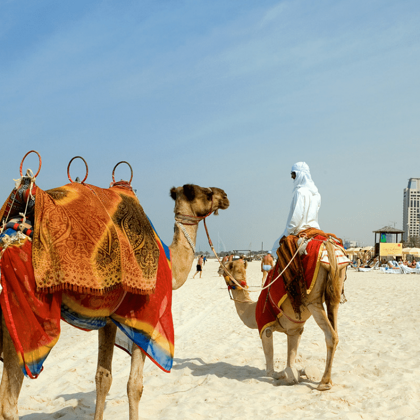 Vacanze Studio Dubai - Viaggi Studio per ragazzi all'Estero